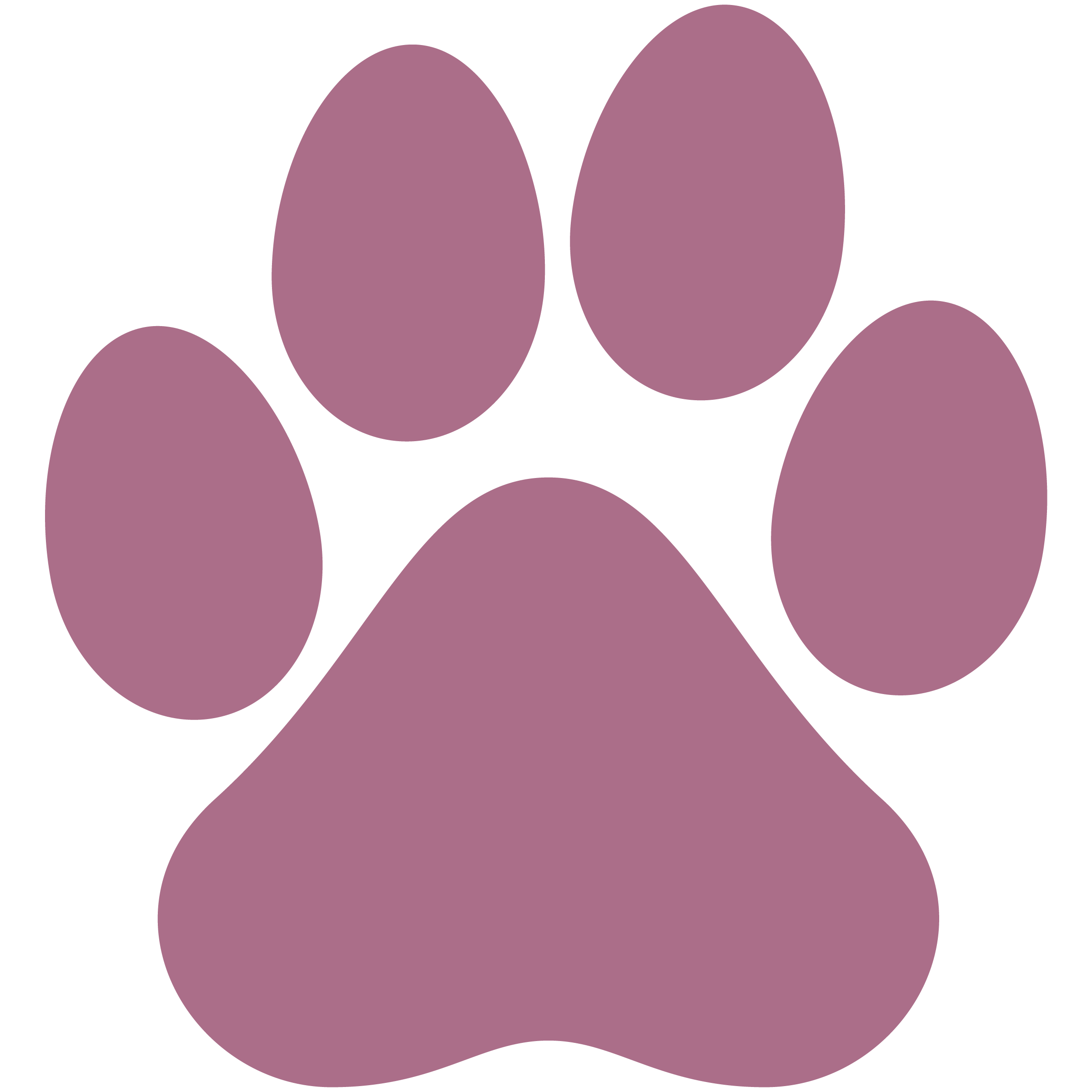 Pet